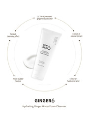 Ginger 6 Hydrating Ginger Water Foam Cleanser, 150ml