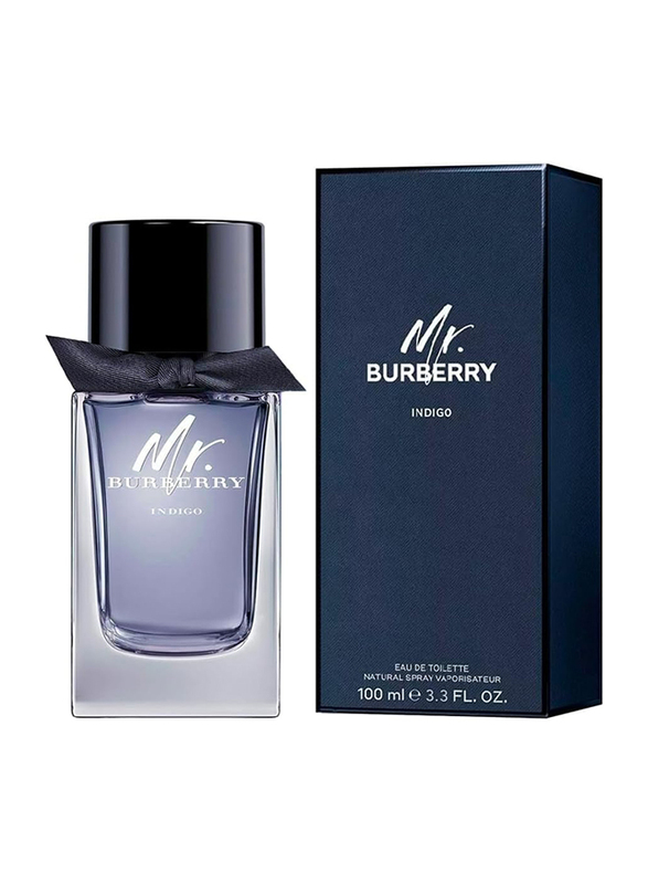 Burberry Mr. Burberry 100ml EDT for Men