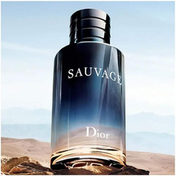 Dior Sauvage 100ml EDT for Men