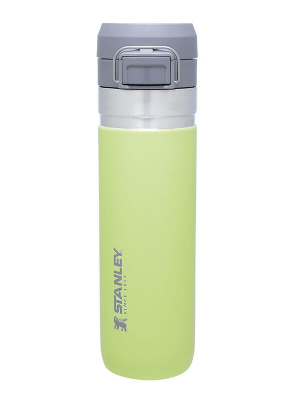

Stanley 24oz Go Quick Flip Stainless Steel Water Bottle, Citron