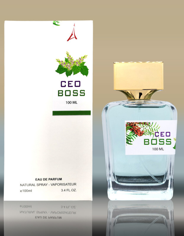Paris CEO Boss Inspired by Boss Bottled United Eau De Parfum Hugo Boss for Men EDP 100ml