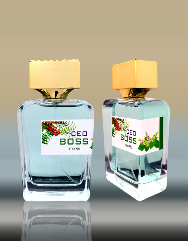 Paris CEO Boss Inspired by Boss Bottled United Eau De Parfum Hugo Boss for Men EDP 100ml