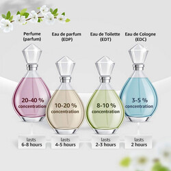 Paris Erba Pura Perfum Inspired from Erba Pura by Xerj0ff for women and men, Unisex Perfume 100ml Eau De Parfum
