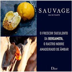 Dior Sauvage 100ml EDT for Men