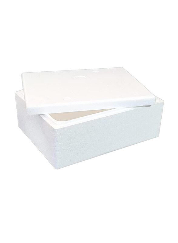 

Go2Camps 20L Capacity Alsqer Thermocol Ice Box, Multicolour