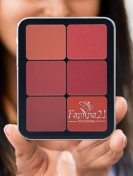 FAMINA21 12-Color Contour-Blusher Powder Palette  Versatile Makeup Face Powder Palette for All Skin Types