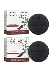 Eelhoe Black and Thick Hair Polygonum Multiflorum Shampoo Soap Bar, 2 Pieces x 100g