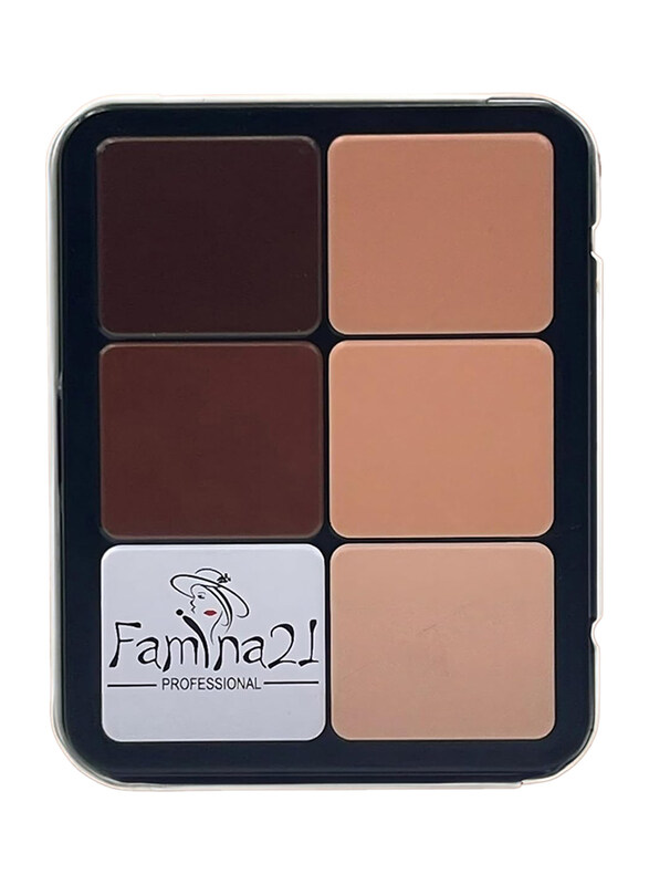 

Famina21 Contour-Blusher Powder Palette, Multicolour