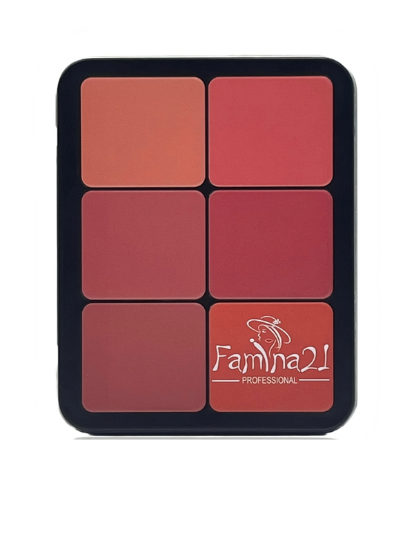 FAMINA21 12-Color Contour-Blusher Cream Palette  Versatile Face Makeup Cream Palette for All Skin Types