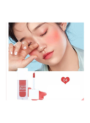 HengFang Liquid Blush with 4 Colours, 04, Multicolour