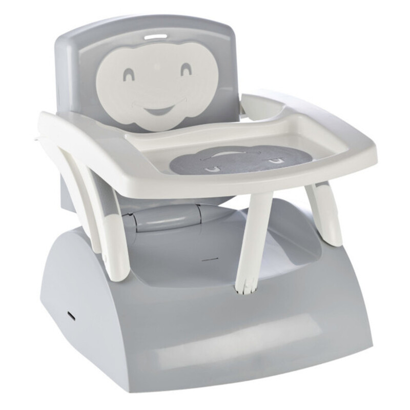 

Thermobaby Scalable 2-in-1Booster Seat Grey