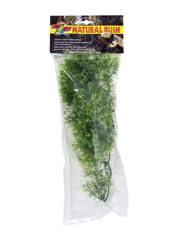 

Zoomed Australian Maple Natural Bush Plants, Medium, Green