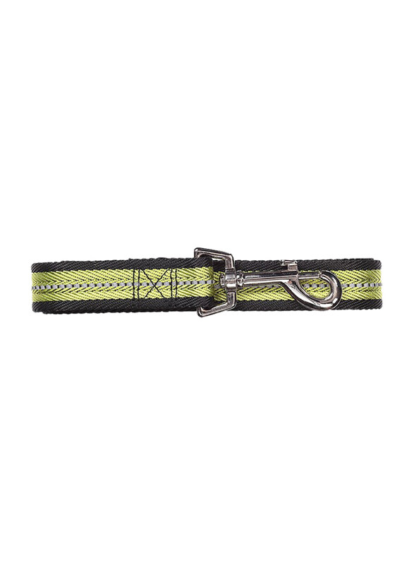 

Pawise Reflective Soft Dog Leash, Small, Green