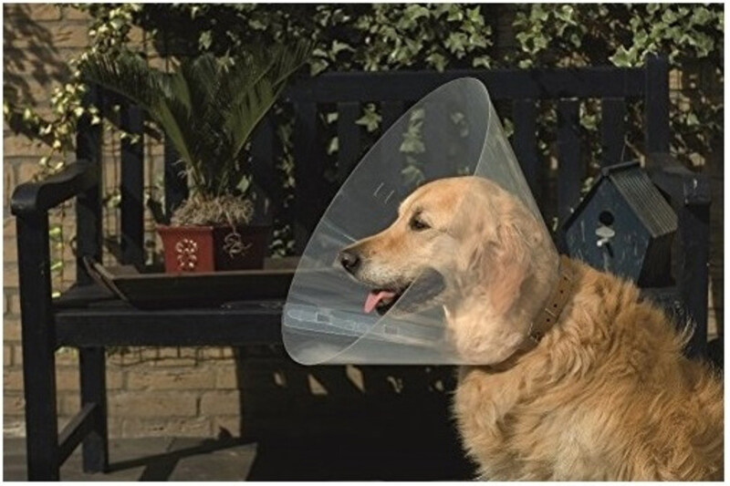 

Beeztees Plastic Dog Cap, 38-44 x 20cm, Clear