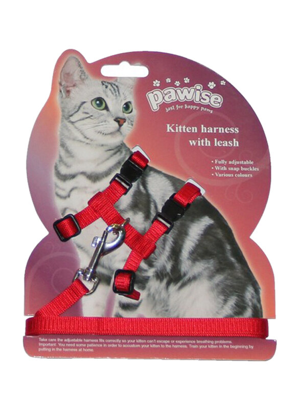 

Pawise Kitten Harness with Leash, Assorted