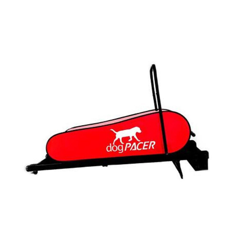 

Dog Pacer Treadmill LF 3.1 for Dogs Weighing Up to 179 Lbs