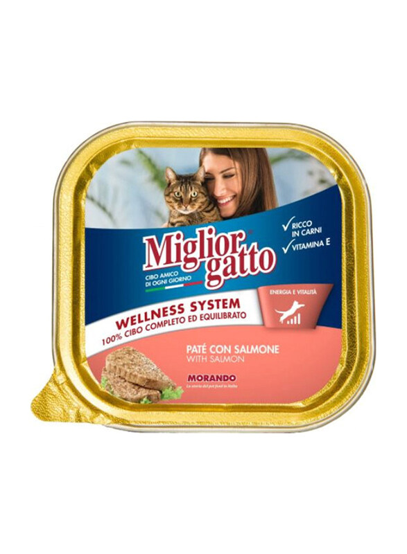 

Miglior Gatto Salmon Cat Wet Food, 100g