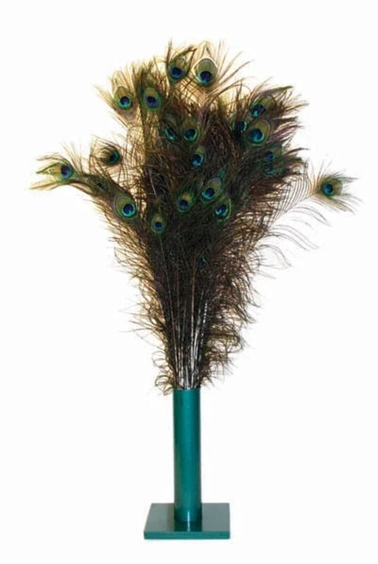 

Vee Natural Peacock Feathers Cat Toy, 100 Pieces