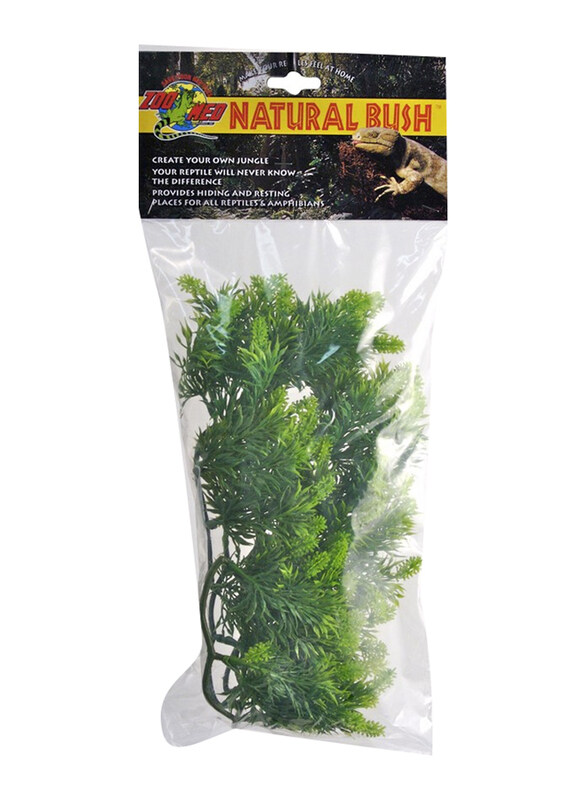 

Zoomed Malaysian Fern Natural Bush Plants, Medium, Green