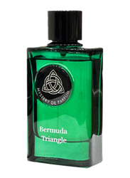 Mystery De Parfum Bermuda Triangle 100ml EDP Unisex