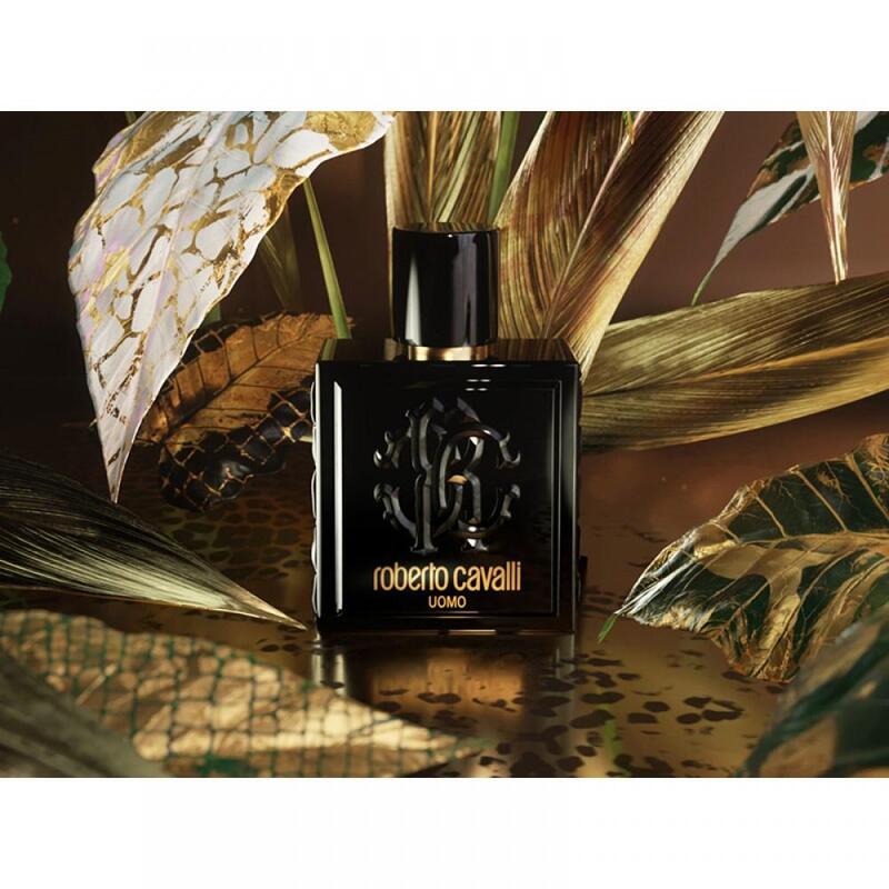 ROBERTO CAVALLI UOMO EDT 100ML