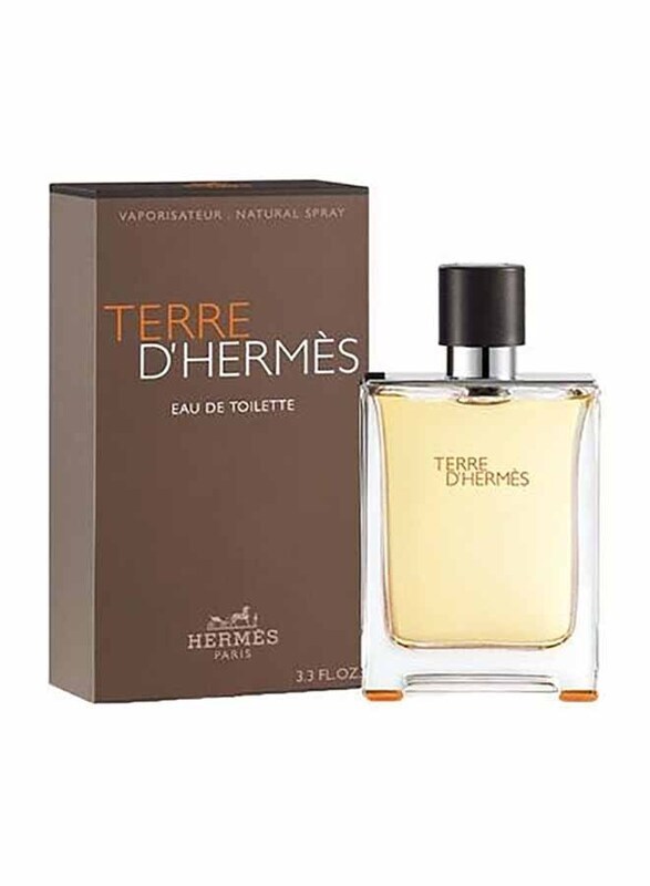 Hermes Terre De 200ml EDT for Men