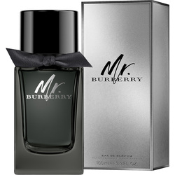 Burberry Mr. Burberry 100ml EDP for Men