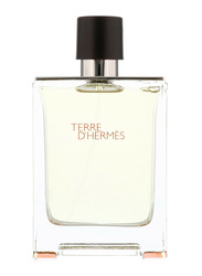 Hermes Terre d'Hermes 100ml EDT for Men