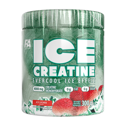 FA Engineered  Nutrition ICE Creatine 300g, Icy Lychee Flavor, 60 Serving