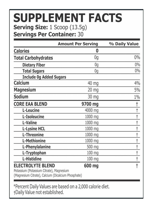 Core Champs EAA Essential Amino Acids Lemon Lime Flavor 390g 30 Serving