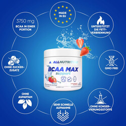 ALLNUTRITION BCAA MAX Support Strawberry Flavor 250g, 33 Serving