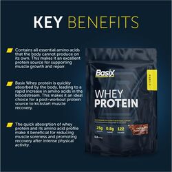 Basix Whey Protein 1Lbs, Chocolate Chunk Flavor