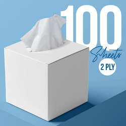 Nice Touch Premium Quality Soft and Absorbent Facial Tissue Cube Box, 2 Ply x 100 Sheets
