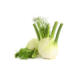 Fennel Holland-Pack 500g