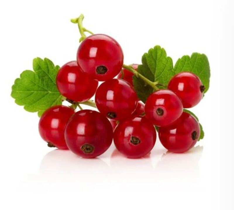 Red Currant Holland-Pack 125g