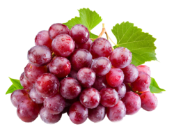 Red Seedless Grape Egypt-Pack 500g