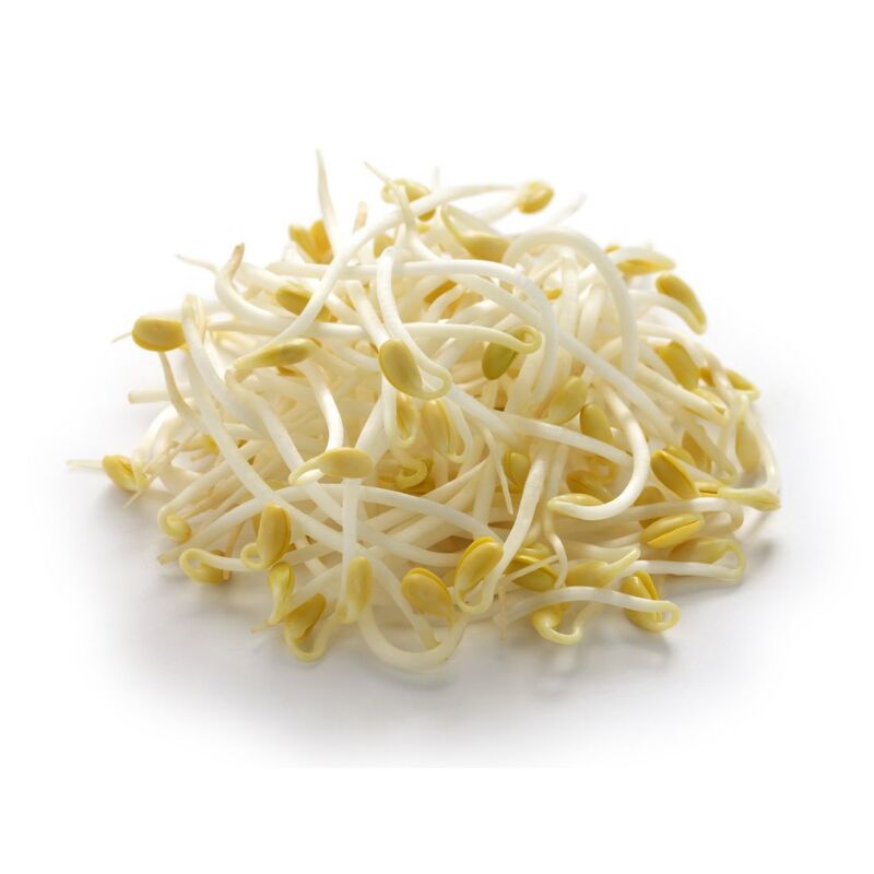 Bean Sprout UAE-500g