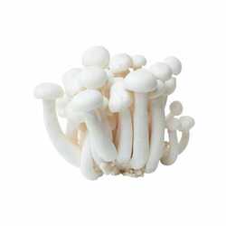 Shimeji Mushroom White China-Pack 150g