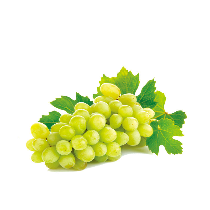 White Seedless Grapes Egypt 500g