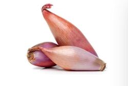 Onion Shallots Holland-Pack 500g