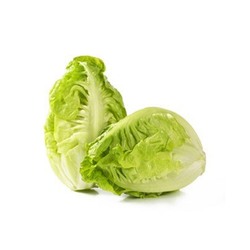 Lettuce Gem Holland-Pack 500g