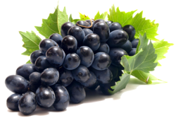 Black Seedless Grapes  Egypt-Pack 500g