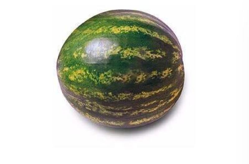 Water Melon GCC ( 4-5kg )