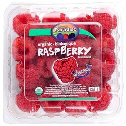 Raspberry USA-Pack 125g
