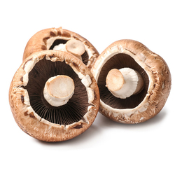 Portobello Mushroom UAE 250 g