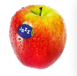 Jazz Apple New Zealand (6-7Pcs)- Per Kg