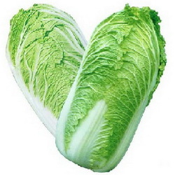 Chinese Cabbage Netherland ( Pc/1kg Approx )