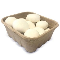 White Mushroom UAE-Pack 250g