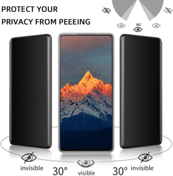 Samsung Galaxy S22+ 5g Privacy Tempered Glass Screen Protector & Camera Protector, 3 Pieces, Multicolour