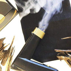 Burner Portable Arabic Electric Bakhoor, Black/Gold